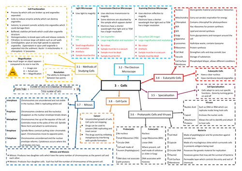 Cells Revision Mind Map - AQA AS/A Level Biology (7401/7402)