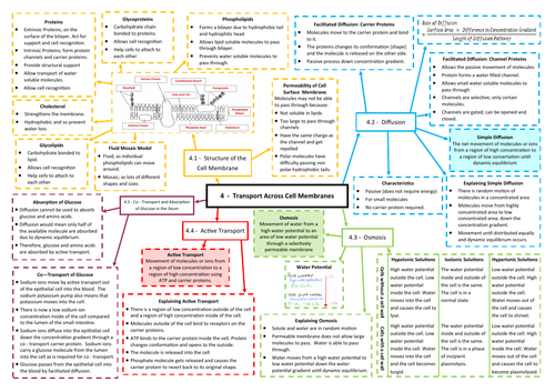 Transport Across Cell Membranes Revision Mind Map - AQA AS/A Level Biology (7401/7402)