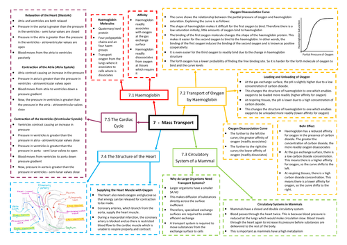 Mass Transport Revision Mind Map - AQA AS/A Level Biology (7401/7402)