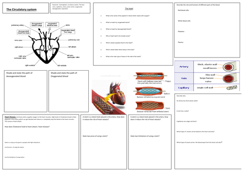 The heart | Teaching Resources