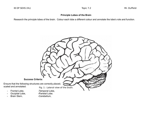 docx, 517.05 KB