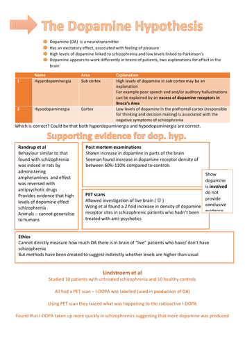 analysis of dopamine hypothesis