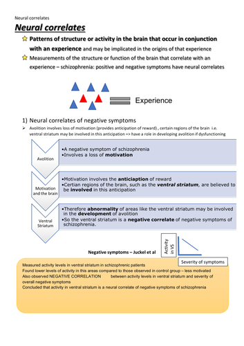 Neural Correlates A Level Psychology