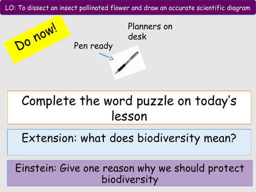Plant reproduction 3b - flower dissection
