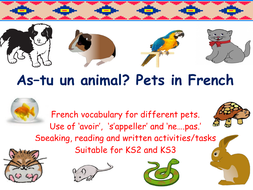 Pets in French - French Vocab. Speaking, Reading and Written Tasks ...