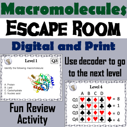 Macromolecules Escape Room