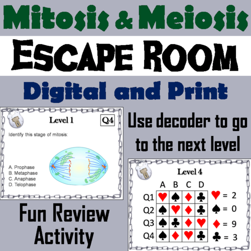 Mitosis and Meiosis Escape Room