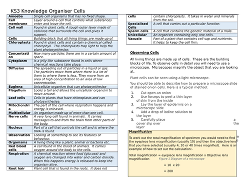 2018 Cells Knowledge Organiser -  specialised cells, diffusion, unicellular organisms, magnification