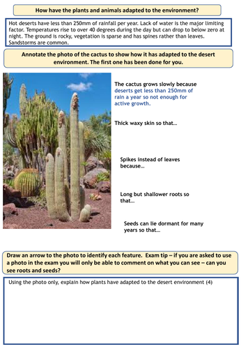 GCSE AQA 9-1 : The Living World , hot desert plant and animal adaptations.  | Teaching Resources