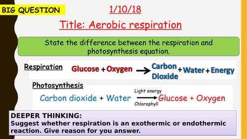 AQA new specification-Aerobic respiration-B9.1