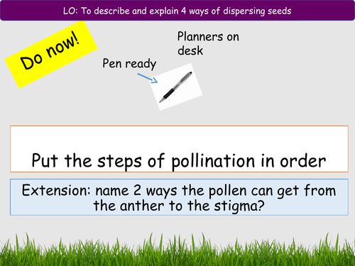 plant reproduction 5 - seed dispersal