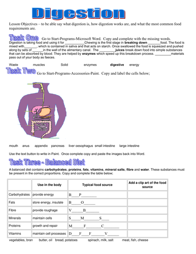science or biology worksheets on respiration and digestion for key