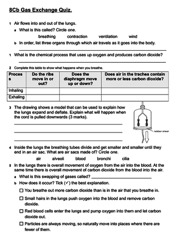 8Cb Gas Exchange 17 mark quiz + mark scheme