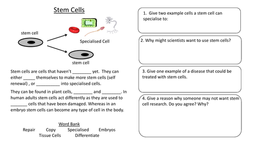 What is stem cell therapy picture