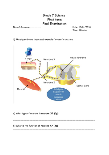 docx, 387.82 KB