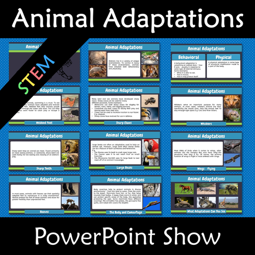 Animal Adaptations PowerPoint Show Physical Vs Behavioral | Teaching  Resources