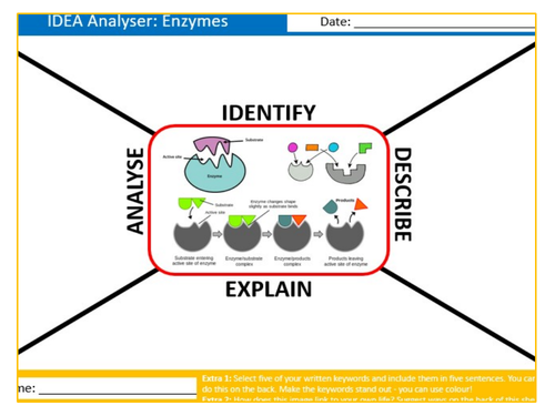 Enzymes IDEA Analyser Sheet Keywords KS3 Settler Starter Cover Lesson ...