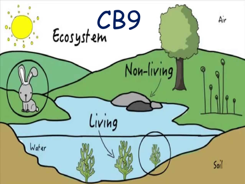 CB9a and CB9b 9-1 Edexcel Biology GCSE | Teaching Resources