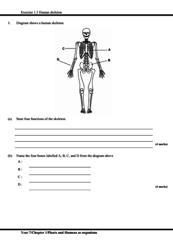 igcse worksheet and revision with answer script plants