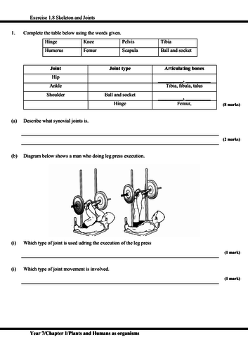 igcse worksheet and revision with answer script plants and humans as