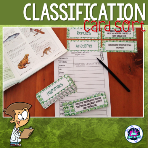 Classification Vocabulary Card Sort