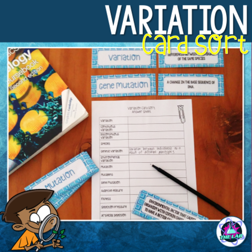 Variation Vocabulary Card Sort