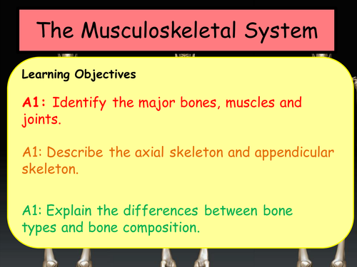 What is applied business picture