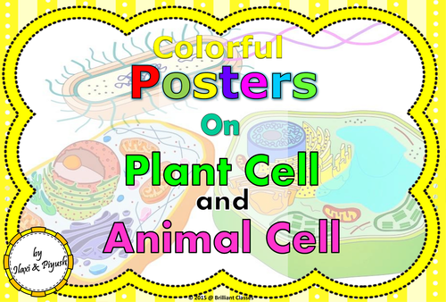 Cell Colorful Posters For Classroom Animal Cell Plant Cell Teaching Resources