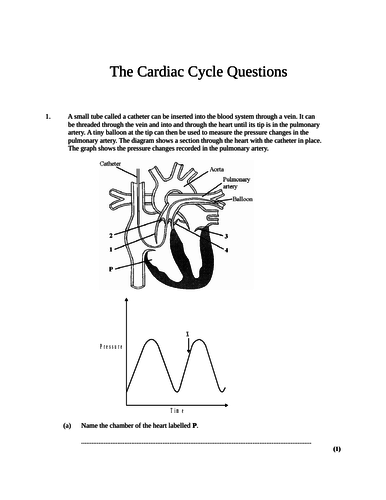 Cardiac Cycle - OCR AS/A Level Biology | Teaching Resources
