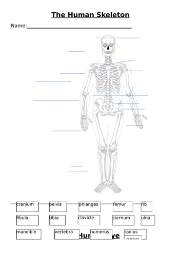 docx, 537.39 KB