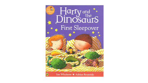 Harry and the Dinosaurs First Sleepover. Lesson plan and all resources EYFS/KS1 | Teaching Resources