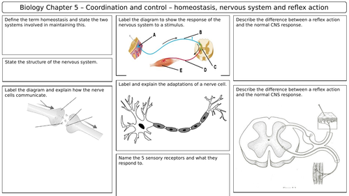 NEW AQA 2016 GCSE Trilogy Biology revision mat Homoeostasis