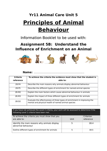 Animal Care, Animal Behaviour, Assignment 5B - Abnormal animal behaviour  and enrichment types | Teaching Resources