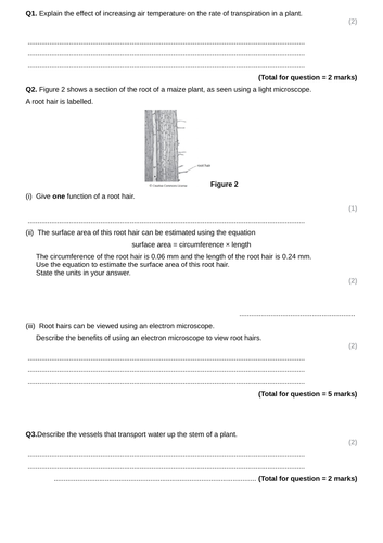 docx, 74.53 KB