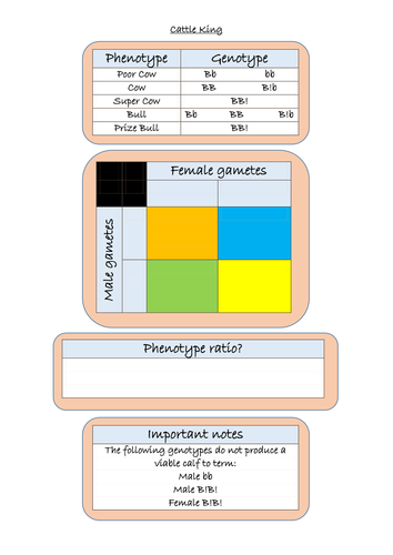 docx, 22.54 KB