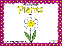 Plants - Year 3 | Teaching Resources
