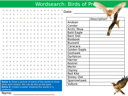 Birds of Prey Wordsearch Puzzle Sheet Keywords Settler Starter Cover ...