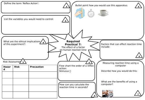 NEW AQA Biology GCSE Required Practical Revision - 7 HUMAN REACTION