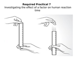 human reaction time experiment