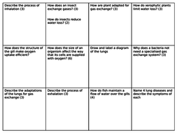 AQA A Level Biology Topic 3A Gas Exchange summary revision questions | Teaching Resources