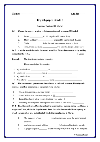 english entry test paper grade 5 with grammar reading