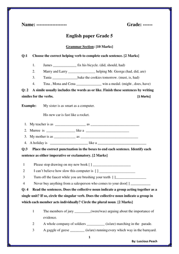 english-grammar-question-paper-for-class-5-pdf