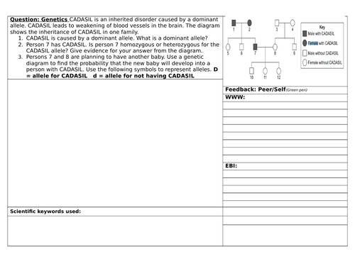 docx, 146.55 KB