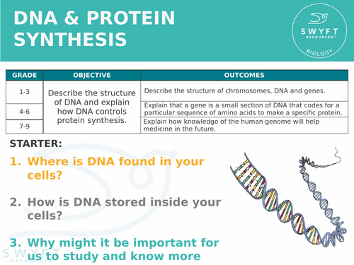 NEW AQA GCSE Trilogy (2016) Biology - DNA & Protein Synthesis