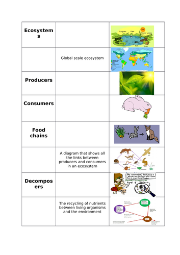 Freshwater pond ecosystem | Teaching Resources