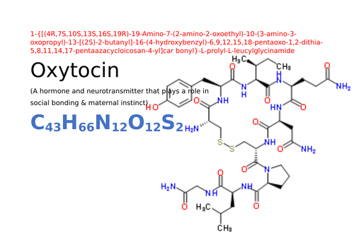 docx, 21.23 KB