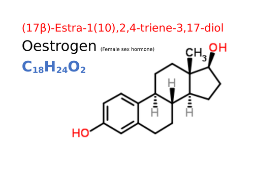 docx, 19.17 KB