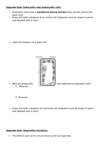 Stem Cells - With Chance To Upgrade Or Challenge Work From Week 1-3 