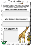 Giraffe essay for kindergarten image