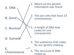 Types of reproduction | Teaching Resources